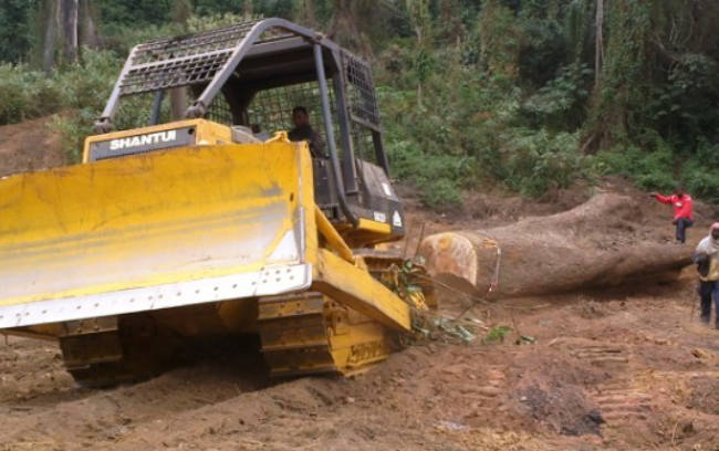 yl6809永利(中国游)官方网站